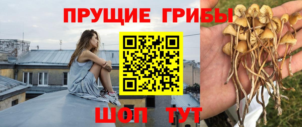 Карталы  Галлюциногенные грибы ЛСД  купить наркоту  Вход с VPN 