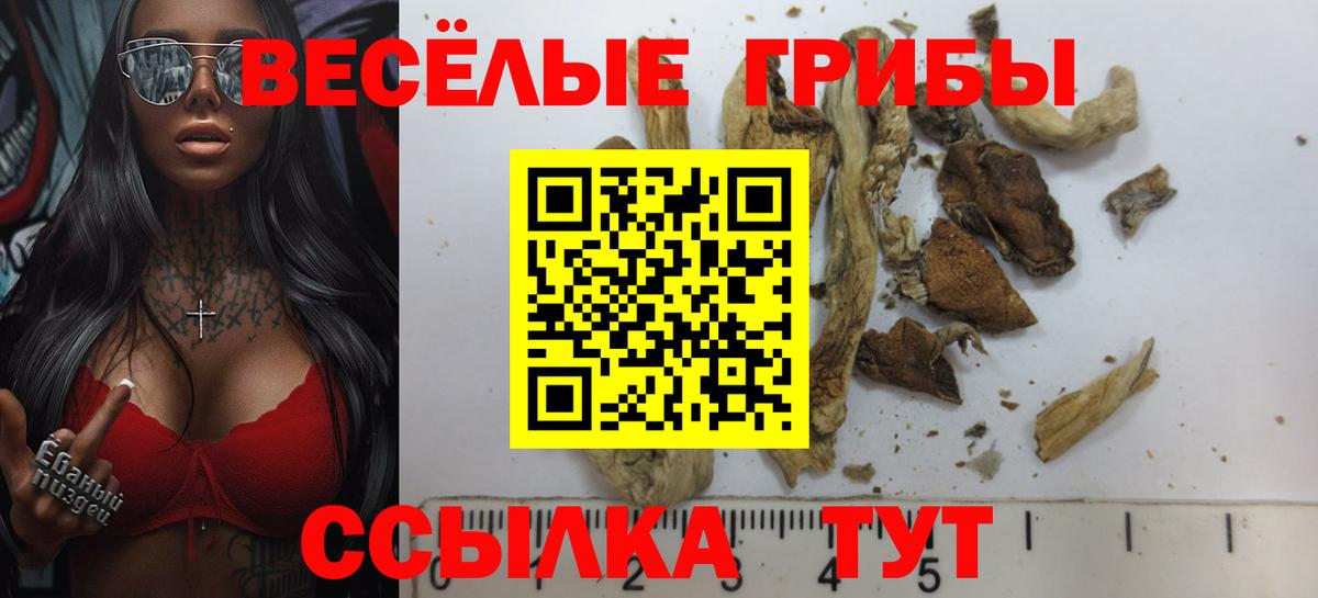 Псилоцибиновые грибы Psilocybe Карталы